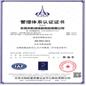 熱烈祝賀公司順利通過ISO9001-2015版國際質量體系認證！！！